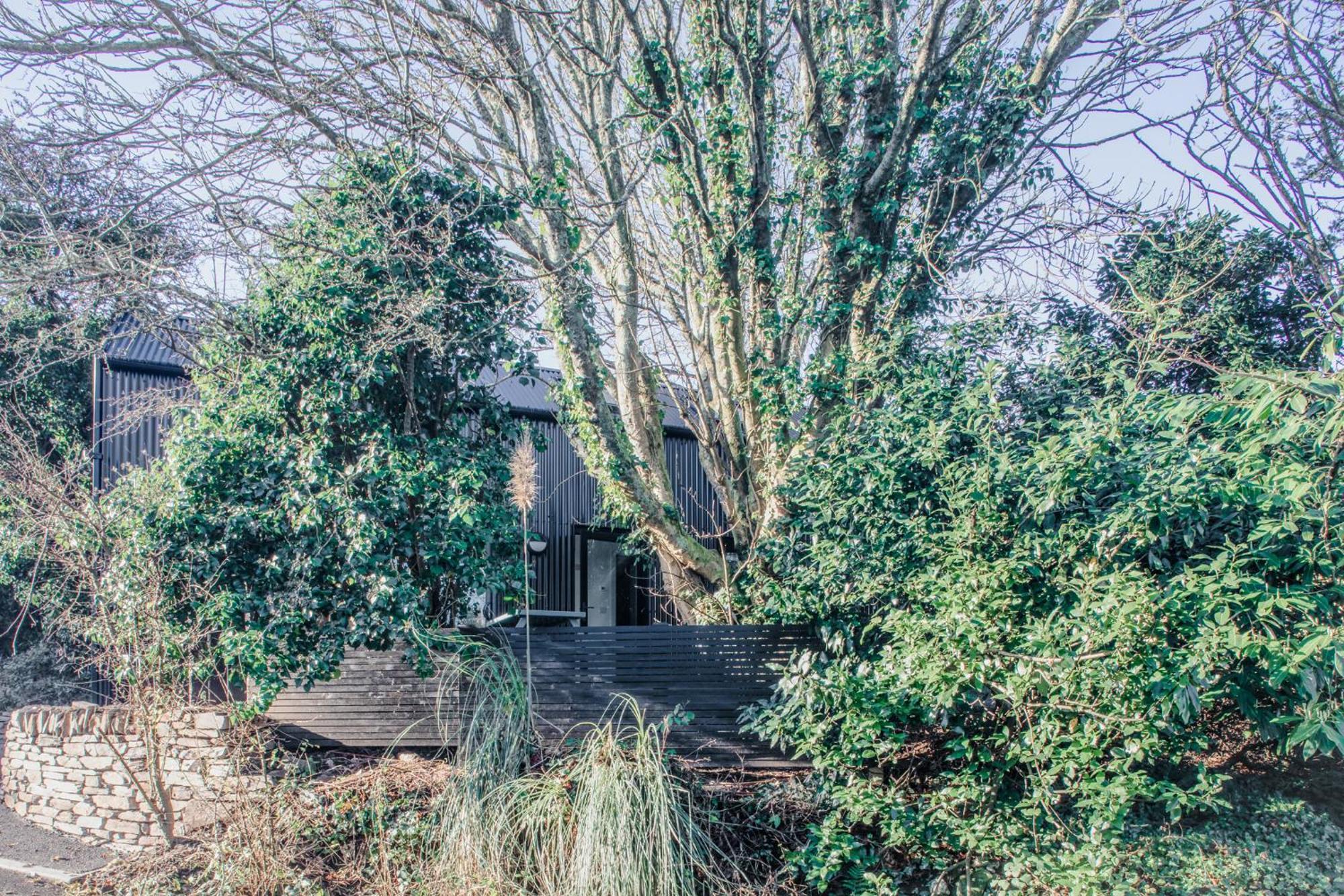 Lowen Tree House Truro Eksteriør billede